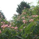 화명정수장 옆 이미지