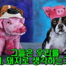코리아 모터스(Korea motors) 이미지