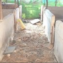 영소목장 이미지