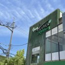 그린하노이 양정점 | [부산밥집 / 양정밥집] 월남쌈 샤브샤브가 있는 그린하노이 솔직후기