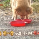 기옥농장 네이버블로그