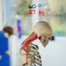 더블유필라테스 이미지