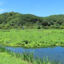 상전면사무소 이미지