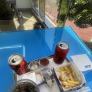 인철목장 | 집나가면 개고생 - 제주 22