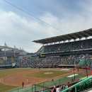 쌈빠강정 | [야구장] 문학야구장 3루 응원지정석 32블럭 E열 7,8 좌석 직관 후기