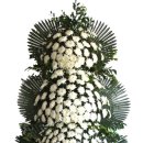 풍기성심요양병원 이미지