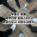 중부-현장-중부-2035 | 부동산 발품: 복부인짱 임장스터디 성남 분당구 분당신도시 (Feat. 서수정 서현수내정자, 1기 신도시)