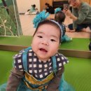 롯데백화점 관악점 겨울학기 문화센터 모모랑 놀자 자연놀이 아이젬(5~10개월) 강좌 리뷰