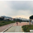 쏠래포차 | 신곡동 국물닭발 누가쏠래포차 추천!