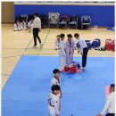 수도 태권도장 이미지