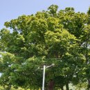 여석마을회관 이미지