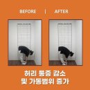 북구마트
