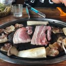 솜마-가 이미지