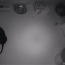 잔다냥 강동점 이미지