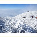 ♣1/26(일) 국내 최고 눈꽃 산행지 덕유산 설경산행(곤도라탑승가능) 이미지