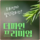 더파인 프리미엄 신애라광고 본 후 열심히 알아본 후기