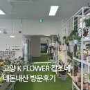 한국화훼센타 | 화훼 농협 고양 K flower 시티 갑조네 내돈내산 후기