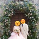 [웨딩촬영]#08 가을 스튜디오 야외 그리너리씬 후기