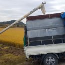 쇠똥구리 농장 이미지