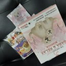 렉스소프트 이미지