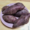 블리비의원 이미지