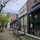 댕댕이살롱 | 천안 신방동미용실 비올렛 헤어살롱 콜라겐 복구클리닉 받고 온 후기