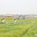 미성동-14 이미지