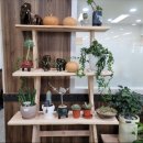 북하면사무소 이미지