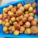 예현리 경로당 이미지