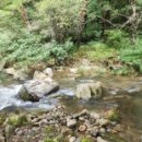 무릉도원면-31 이미지