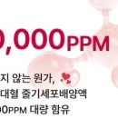 (주)글로비코리아 이미지