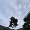 대영힐스CC Daum카페