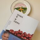 궁편책