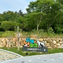 (주)놀이터컴퍼니 | [공지] 김해 댕댕파크 이용방법 총정리 무료 애견운동장 야간개장 후기