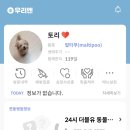 24시 더블유 동물의료센터 이미지
