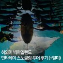 만타 | 하와이 빅아일랜드 만타레이 투어 만타가오리 스노쿨링 후기 (멀미, 준비물, 수영)