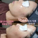 꽃다비 에스테틱 이미지