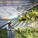 이원농장 이미지