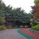 계남공원(신정산) 유아숲체험원 이미지