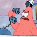 빵굽는곰 이미지