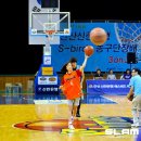 디크로 Daum카페