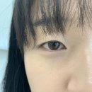 푸르내(Purne) 이미지