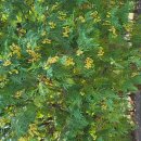 일약국 | 157권째 독서 후기 기욤 뮈소의 당신, 거기 있어 줄래요?