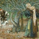서울주보 : 포도재배인과 무화과나무 -The Vinedresser and The fig tree /사순 3주일