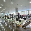 라인헬스 이미지