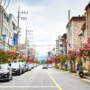 배롱나무 특화거리 이미지