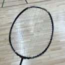 배드민턴 거트 교체 후기 대구 필스포츠 4매듭 가격