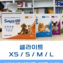 온심약국 네이버블로그