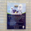 개커피 미용은 '헬로똘복'!