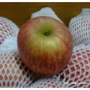 미루농장 이미지